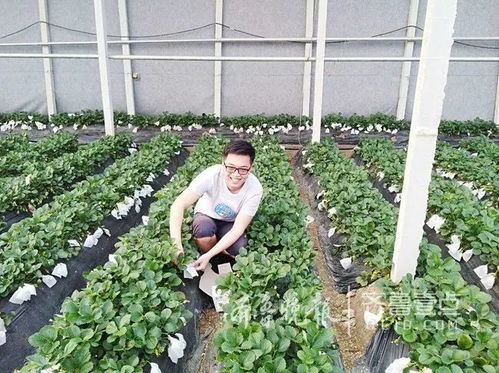 90后小伙尝试副业卖水果,第一周卖出500斤 一年卖出500万 他是怎么做到的